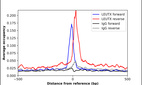 Anti-LEUTX Antibody