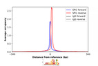 Anti-SPI1 Antibody