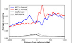 Anti-KMT2A Antibody