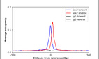 Anti-SOX2 Antibody