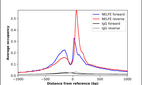 Anti-NELFE Antibody