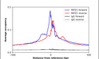 Anti-PATZ1 Antibody