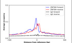 Anti-ZNF584 Antibody