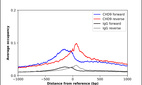 Anti-CHD9 Antibody