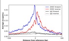 Anti-ZXDC Antibody