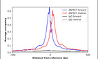 Anti-ZNF507 Antibody