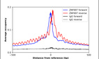 Anti-ZNF697 Antibody