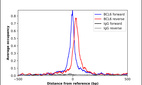 Anti-BCL6 Antibody