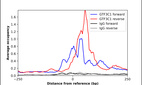 Anti-GTF3C1 Antibody