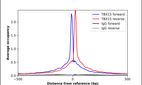 Anti-TBX15 Antibody