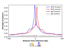 Anti-NFIC Antibody