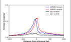 Anti-GMEB1 Antibody