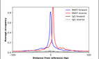 Anti-MAFF Antibody