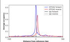 Anti-GTF2A2 Antibody