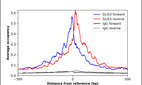 Anti-GLIS3 Antibody