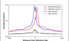 Anti-ZNF526 Antibody