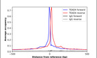 Anti-TEAD4 Antibody