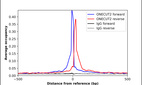 Anti-ONECUT2 Antibody