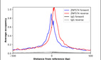 Anti-ZNF574 Antibody