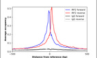 Anti-IRF2 Antibody