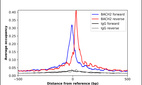 Anti-BACH2 Antibody