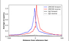 Anti-ZNF200 Antibody