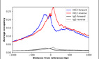 Anti-HIC2 Antibody