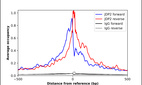 Anti-JDP2 Antibody