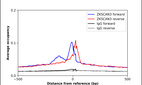 Anti-ZKSCAN3 Antibody