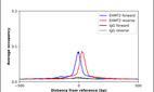 Anti-EHMT2 Antibody