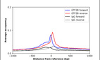 Anti-GTF2B Antibody