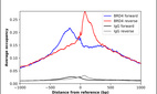 Anti-BRD4 Antibody