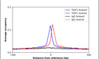 Anti-TGIF1 Antibody