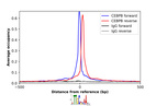 Anti-CEBPB Antibody