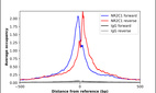 Anti-NR2C1 Antibody