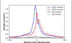 Anti-TAF5L Antibody