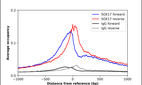 Anti-SOX17 Antibody