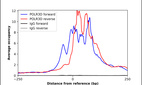 Anti-POLR3D Antibody