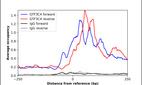 Anti-GTF3C4 Antibody