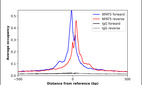 Anti-NFAT5 Antibody