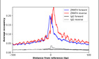 Anti-ZMAT4 Antibody