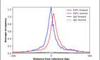 Anti-E4F1 Antibody