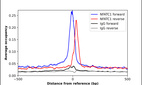 Anti-NFATC1 Antibody