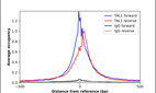 Anti-TAL1 Antibody