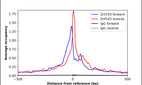 Anti-ZNF143 Antibody