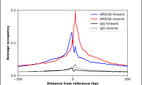 Anti-ARID3A Antibody