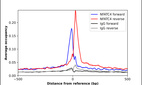 Anti-NFATC4 Antibody