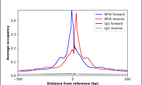 Anti-NFIA Antibody